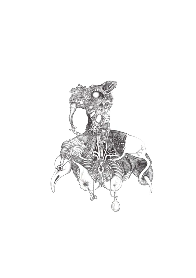 Anatomy of an impossible creature, an intricate graphite drawing